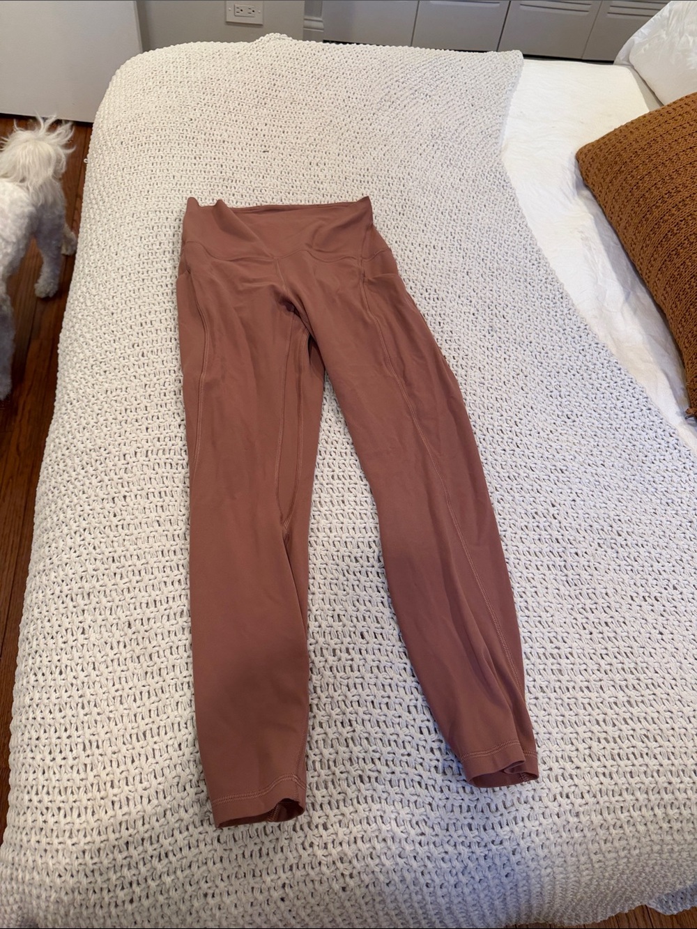 Lululemon Align Leggings- Size 6 25 inch